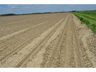 Property photo 15 - 77.4 Productive, Tillable Acres Land Auction